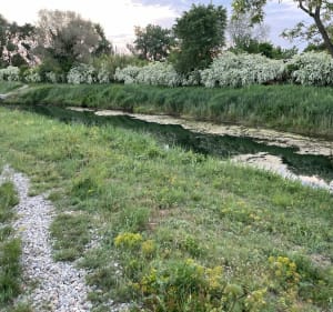 Randonnée du Luberon au Rhône - Montélimar - 5