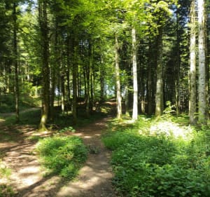 Magnifique balade autour de Mouthier-Haute-Pierre - Ouhans - 5