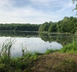 VTT Forêt Hettange -Grande / Cattenom / Boust - Hettange-Grande - 5