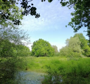 La Chevalerie à l'Anglais par les chemins creux - Saint-Vincent-sur-Graon - 4