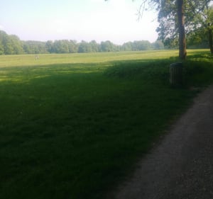 Noisiel Park - Grote weidelus. - Gournay sur Marne - 3