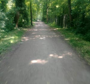 Noisiel Park - Grote weidelus. - Gournay sur Marne - 4
