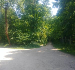 Noisiel Park - Grote weidelus. - Gournay sur Marne - 5