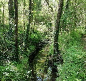 Boucle du Beignon - Sainte-Flaive-des-Loups - 4