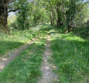 Balade Deux-Sévrienne - Saint-Martin-du-Fouilloux - 4