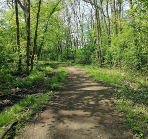 Grande boucle du bois de Guénange - Guénange - 4