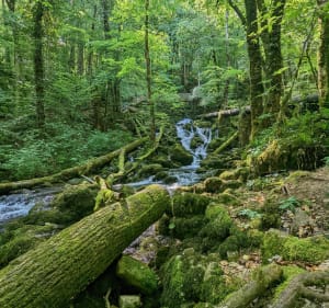 Cascades des Tufs - Les Planches-près-Arbois - 3