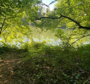 Jusqu’au lac - Lisle-sur-Tarn - 4