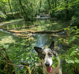 Cascades des Tufs - Les Planches-près-Arbois - 5