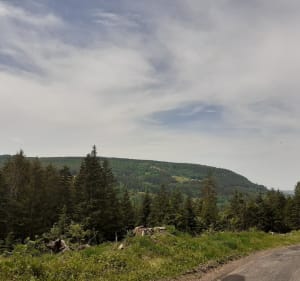 Randonnée forestière dans le Haut de Menaumont - Granges-Aumontzey - 4