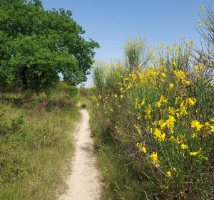 Promenade sur Le Mont Saint-Cyr - Cahors - 3