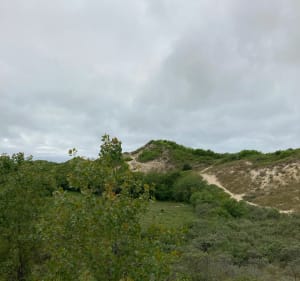 Balade autour du Touquet pour vous ressourcer avec la nature - Cucq - 3