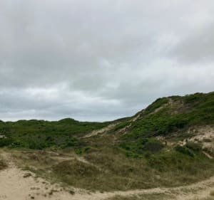 Balade autour du Touquet pour vous ressourcer avec la nature - Cucq - 4