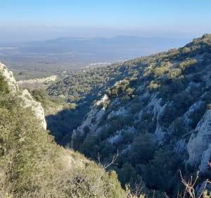 Rando trail Combe Mayaud - Combe de Capellan - Venasque - 4