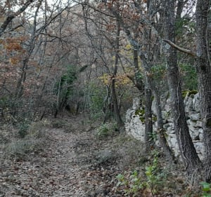 Rando trail Combe Mayaud - Combe de Capellan - Venasque - 5