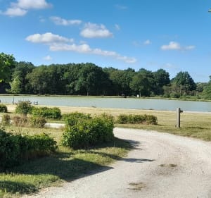 Randonnée Fontaines-en-Sologne avec des enfants en bas âges - Fontaines-en-Sologne - 3