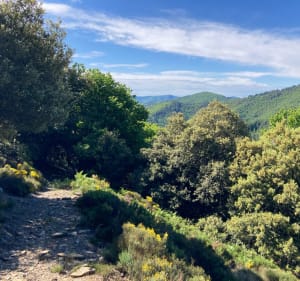 Sentier de l’Espinas, par monts et par vaux - Ventalon en Cévennes - 3