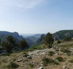 Du col de l'Espinouse à la tour de guet Agoudet - Rosis - 5