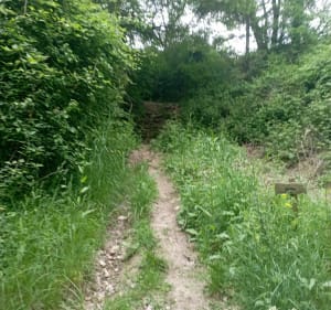 Agen canal 8 km - Kevin - 5