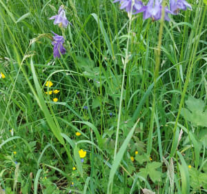 Petit aller retour dans la foret - Fouchères-aux-Bois - 5