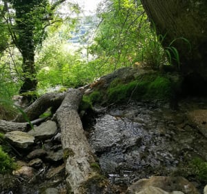 Tour des roches de Veluze et autres curiosités - Barbirey-sur-Ouche - 3