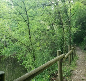Entre vignes et cours d'eau à Mareuil-sur-Lay - Mareuil-sur-Lay-Dissais - 4