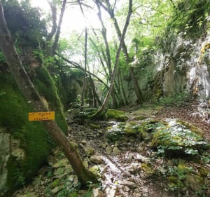 Tour des roches de Veluze et autres curiosités - Barbirey-sur-Ouche - 5