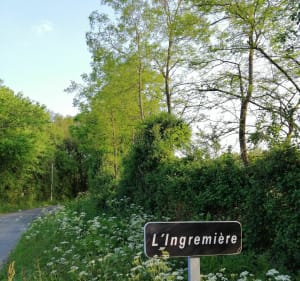 Promenade dans les chemins creux de l'Ingremière - Aubigny-Les Clouzeaux - 4