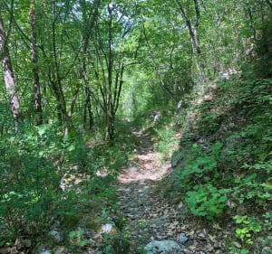 Tour deL’Albaréa, les Agreux, Grange… - Sospel - 5
