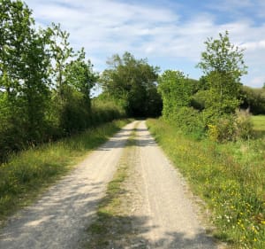 Boucle Aubinoise #4 - Aubigny-Les Clouzeaux - 3