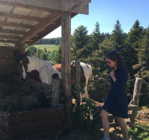 Le Perrier - Lalouvesc - 5