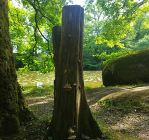Les 4 km de Boispouvreau - Ménigoute - 5