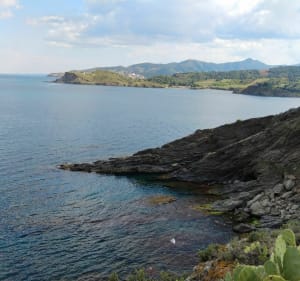 Sentier du littoral de Port vendre - Port-Vendres - 2