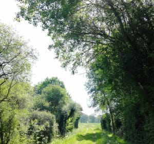 Boucle entre le Tablier et L'Audouinière - Sainte-Flaive-des-Loups - 4