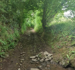 Petite rando avec sam - Souleuvre en Bocage - 3