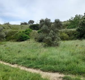 Les trésors pédestre de Sève... - Sorgues - 4