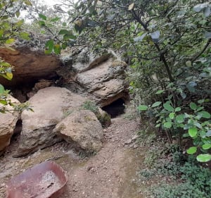 Les trésors pédestre de Sève... - Sorgues - 5