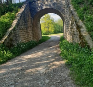 Promenade vers le Haut de Gondal - Gerbéviller - 3