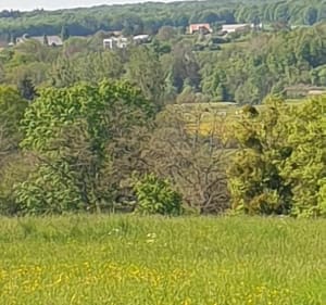 Promenade vers le Haut de Gondal - Gerbéviller - 4