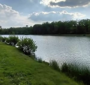 Boucle autour de l'étang de la Mouline - Saint-Éloy-de-Gy - 4