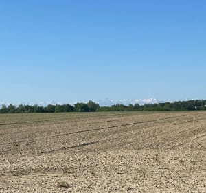 Boucle de Saint-Lys par Saiguède et Sainte-Foy - Saint-Lys - 3