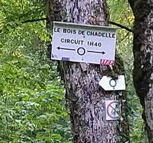 Le bois de Chadelle (rond vert) - Longwy - 3