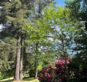 Le Saillant, la Ballade de bon matin - Brangenberg - 4