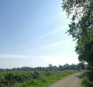 Boucle des Hirondelles - Sainte-Flaive-des-Loups - 4