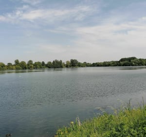 Lac et parc héron Villeneuve D'Ascq - Ronchin - 3