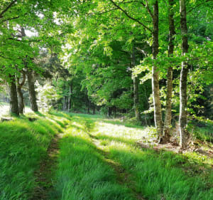 Tour du lac du Pêcher trail - Dienne - 3