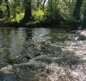 Ballade près de Nontron - Nathalie - 3