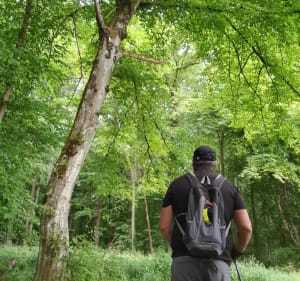 PETITS SENTIERS ENTRE PREUSCHDORF ET LAMPERTSLOCH - Preuschdorf - 5