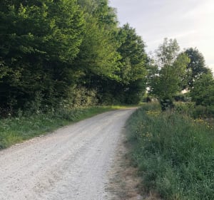 Balade vers le bois d’Arnaud - Mouilleron-le-Captif - 4