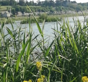 Balade aux trois eaux - Veuzain-sur-Loire - 3
